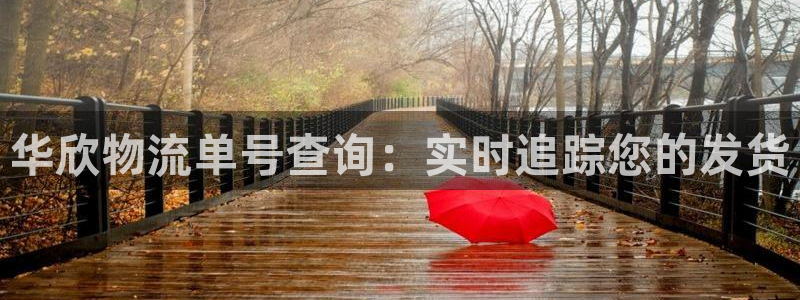 28圈口