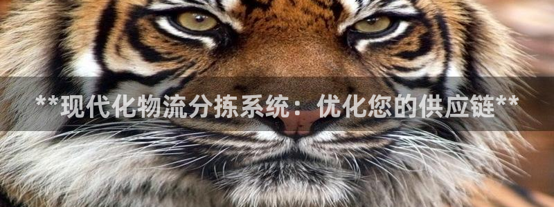 28圈娱乐官网网页入口