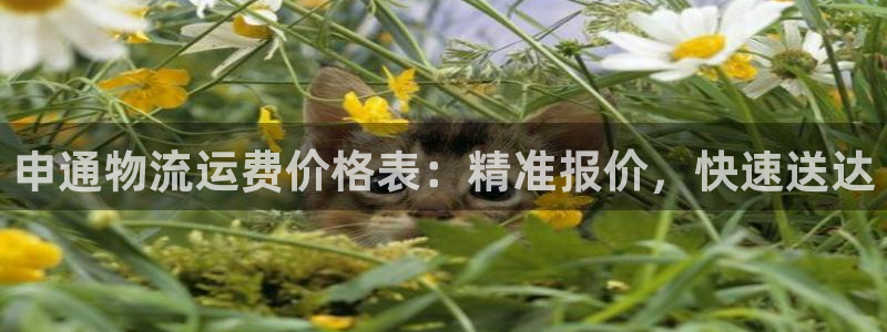 28圈官方网站是多少