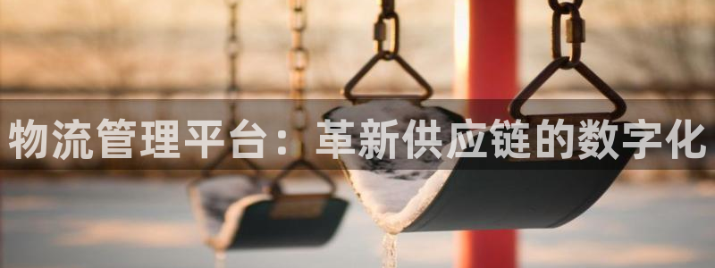 28圈系统自动保护：物流管理平台：革