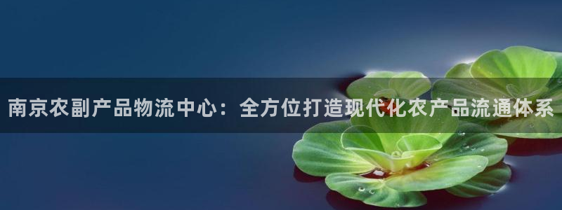 28圈如何注销账号