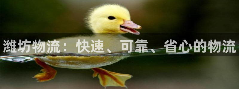 28圈p图上分下款通道：潍坊物流：快