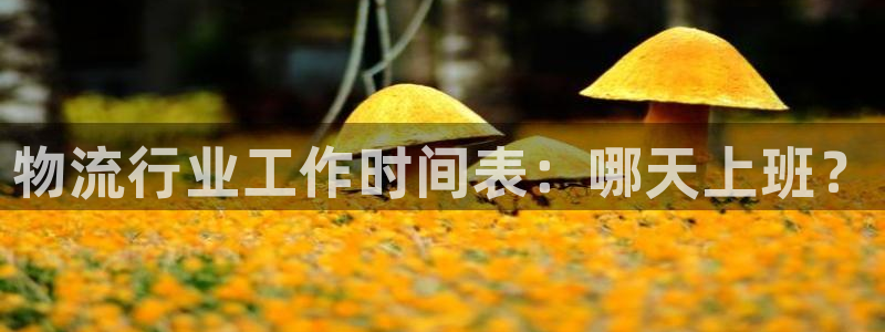 28圈麻将