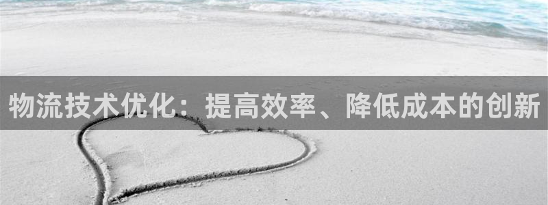 28圈pc预测：物流技术优化：提高效