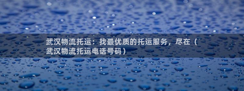 28圈官网注册：武汉物流托运：找最优