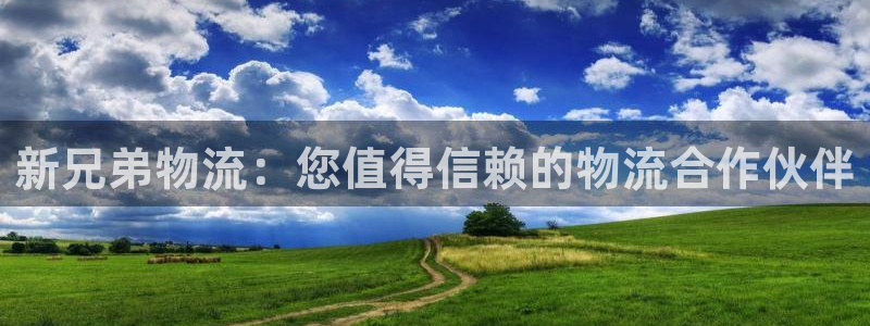 28圈注册号：新兄弟物流：您值得信赖