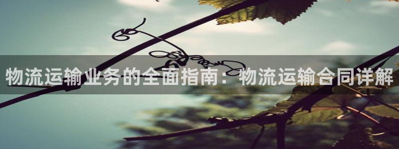 28圈充值不处理怎么办