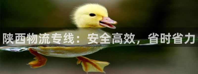 28圈娱乐官网网页入口：陕西物流专线