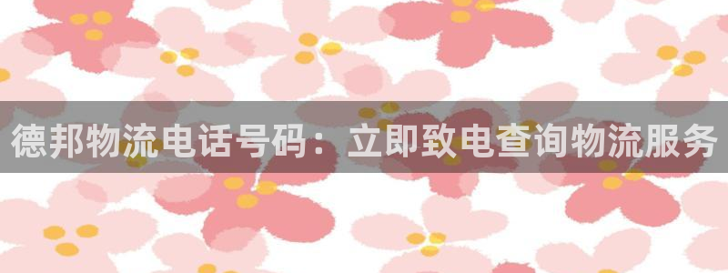 28圈那个才是充值账号：德邦物流电话