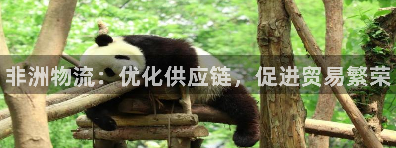 28圈加拿大能提现吗