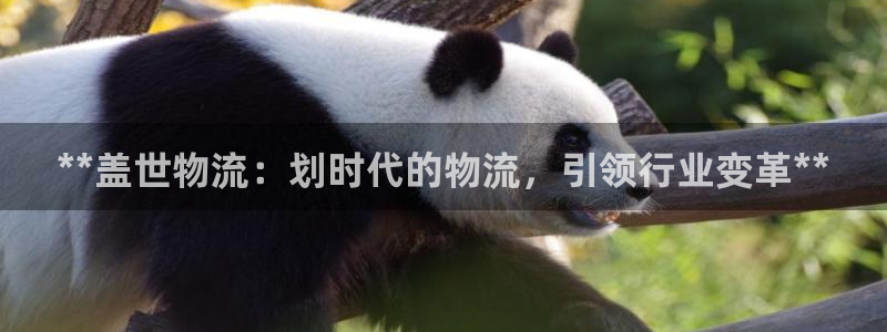 28圈绿骨头