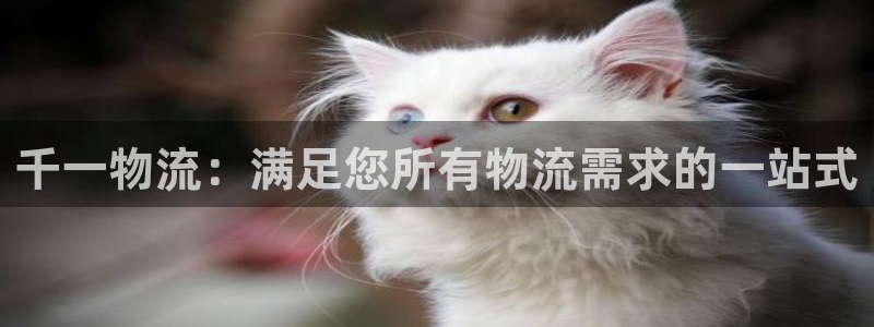 28圈麻将
