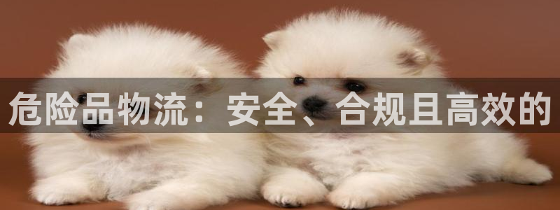 28圈提款一直没到