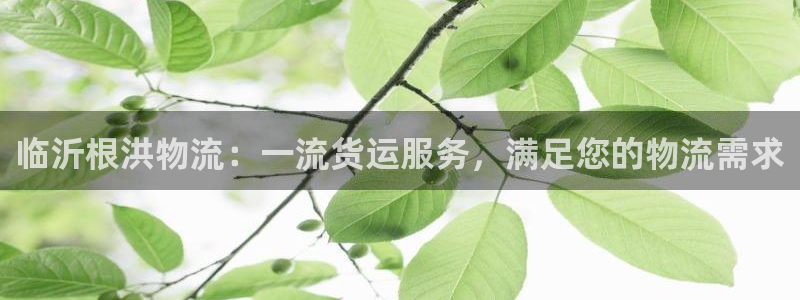 28圈的平台