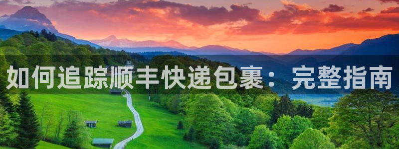 28圈模拟器下载