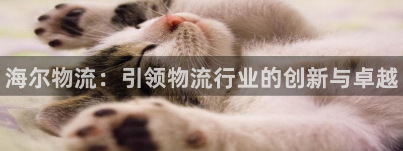 28圈加拿大最新版