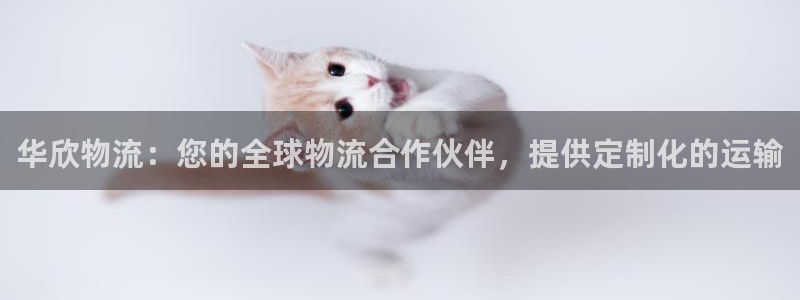 28圈.ccm：华欣物流：您的全球物