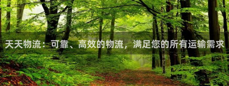 28圈正规吗?：天天物流：可靠、高效