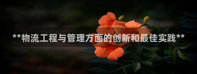 28圈圈