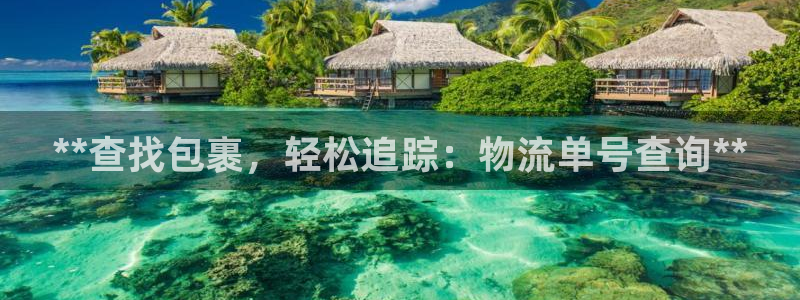 28圈官方版正版：**查找包裹，轻松