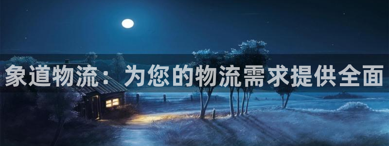 28圈官方网站：象道物流：为您的物流
