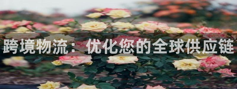 28圈pg麻将胡了：跨境物流：优化您