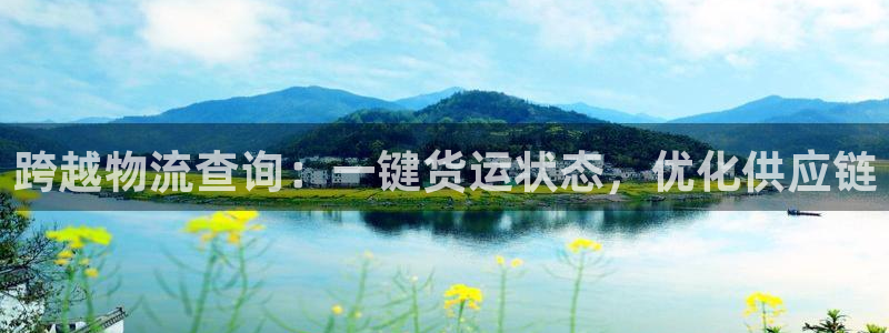 28圈人头费：跨越物流查询：一键货运