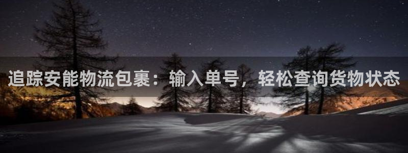 28圈是什么软件：追踪安能物流包裹：