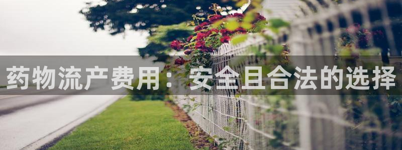 28圈稳吗：药物流产费用：安全且合法
