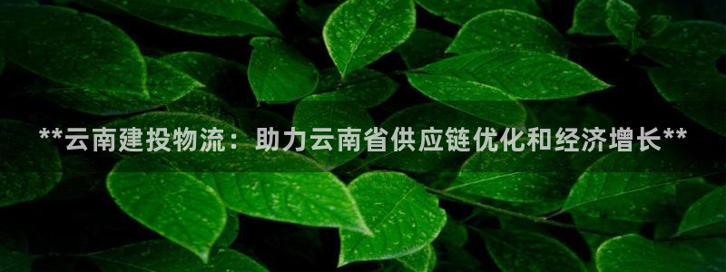 28圈下载链接是多少