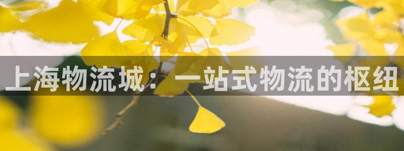 28圈平台注册：上海物流城：一站式物