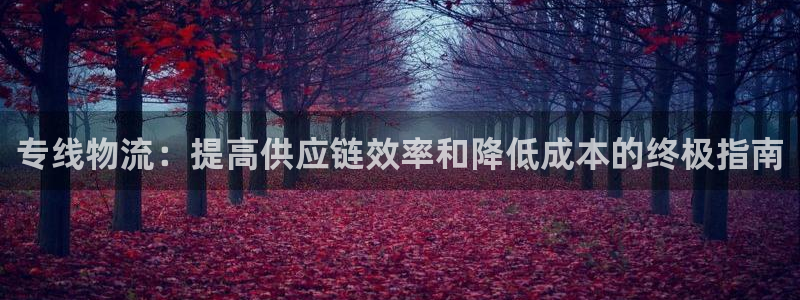 28圈提现未达5期是什么意思：专线物