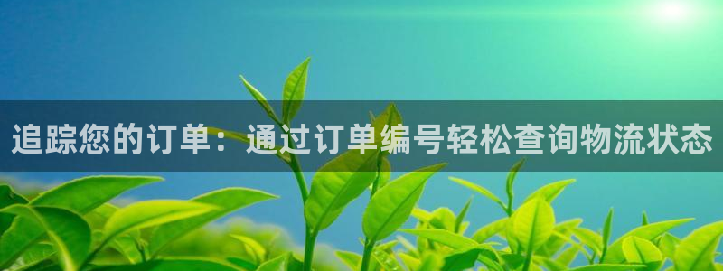 28圈充值不到账怎么办：追踪您的订单