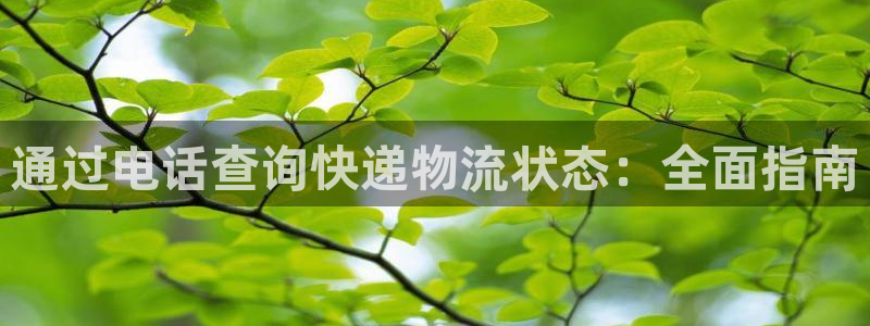 28圈人头费：通过电话查询快递物流状