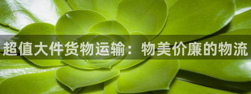 28圈app怎么注销：超值大件货物运