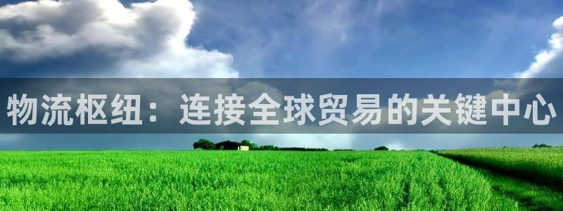 28圈注册号：物流枢纽：连接全球贸易