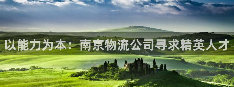 28圈p图上分下款通道