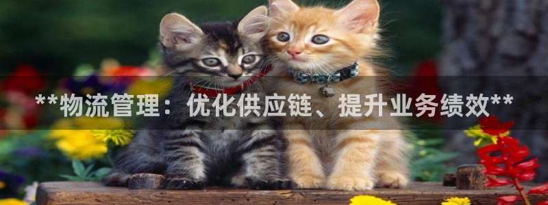 28圈充值不处理：**物流管理：优化