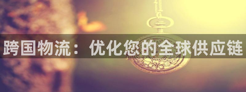 28圈注册网页：跨国物流：优化您的全