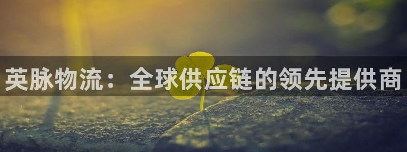 28圈口内径是多大