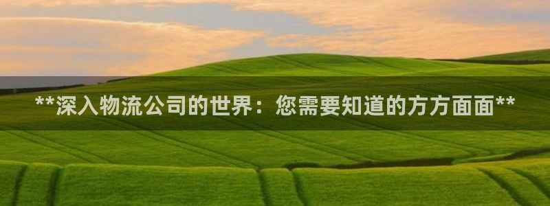 28圈注册网址百度知道：**深入物流