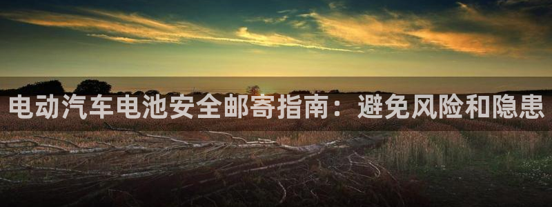 28圈取保：电动汽车电池安全邮寄指南