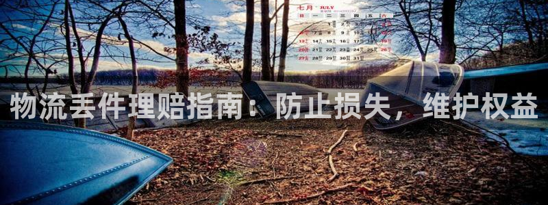 28圈.ccmpc正版：物流丢件理赔