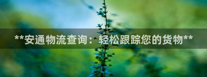 南宫28圈怎么注册：**安通物流查询