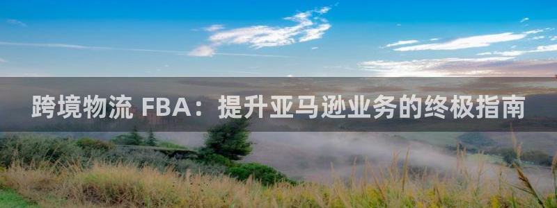 28圈预测网