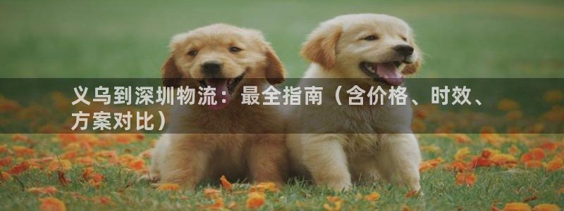 28圈模拟器下载：义乌到深圳物流：最