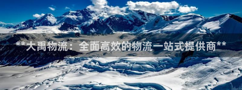 南宫28圈怎么注册：**大禹物流：全