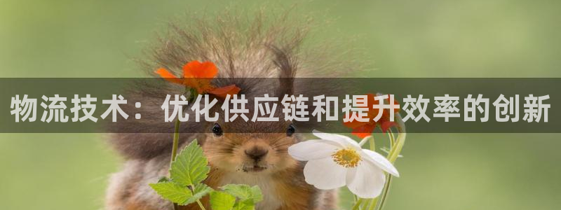 28圈连接