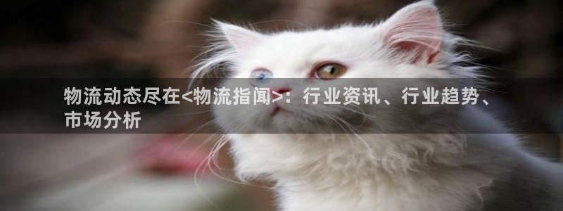 28圈.ccm2024：物流动态尽在
