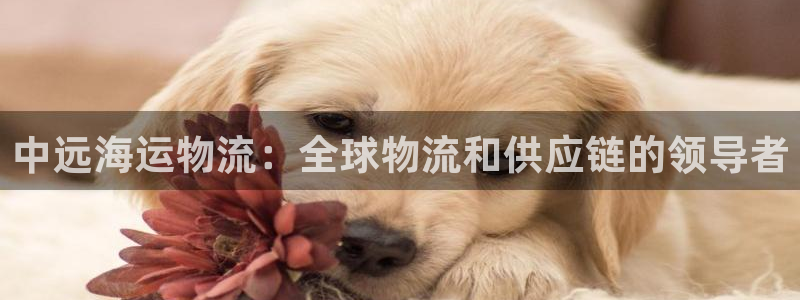 28圈的平台